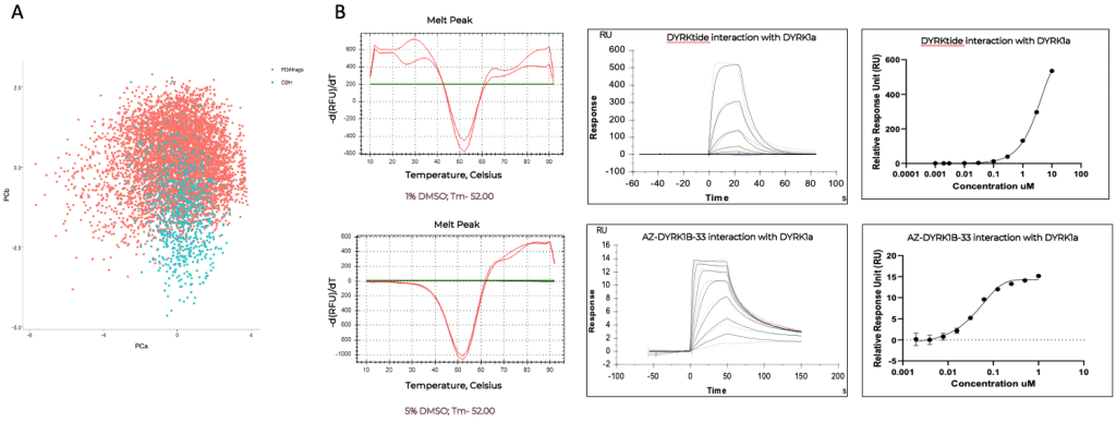 Fragment-Based Drug Discovery (FBDD)_o2h Discovery