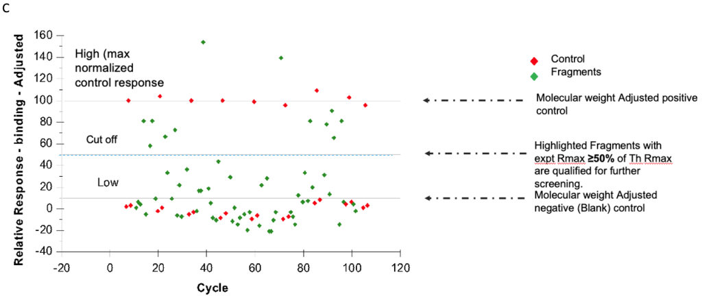 Fragment-Based Drug Discovery (FBDD)_o2h Discovery
