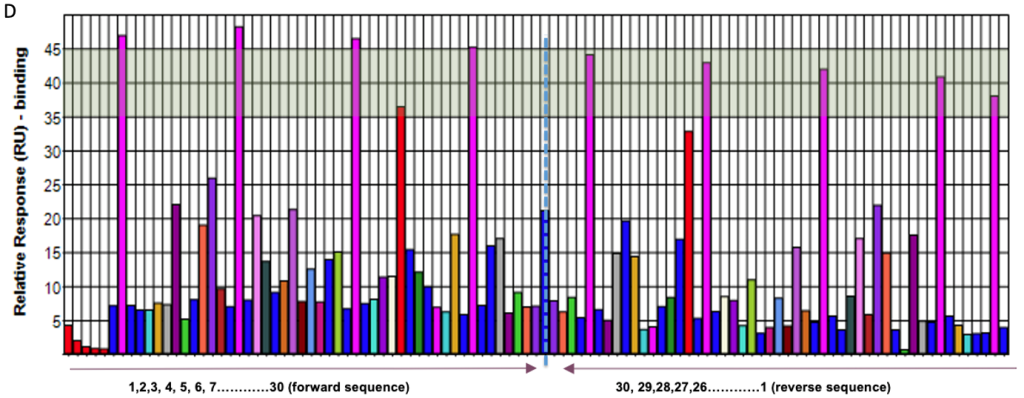 Fragment-Based Drug Discovery (FBDD)_o2h Discovery