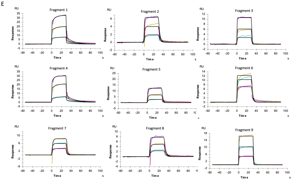 Fragment-Based Drug Discovery (FBDD)_o2h Discovery