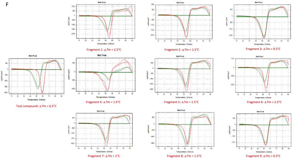 Fragment-Based Drug Discovery (FBDD)_o2h Discovery