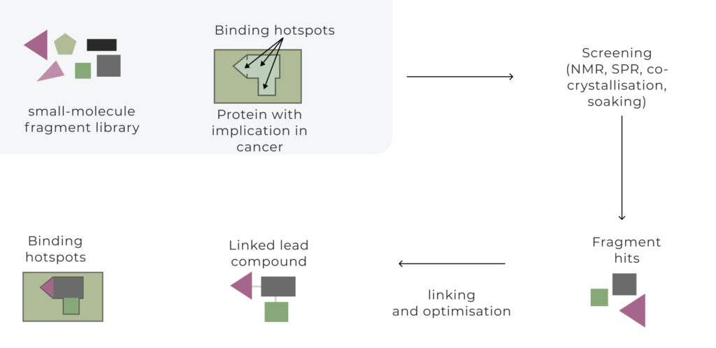 Fragment-Based Drug Discovery (FBDD)_o2h Discovery