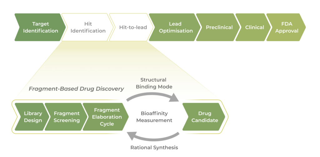 Fragment-Based Drug Discovery (FBDD)_o2h Discovery
