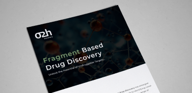 Fragment Based Drug Discovery